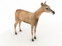 Fallow deer 3d model preview