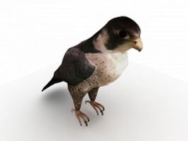 Lanner falcon 3d model preview