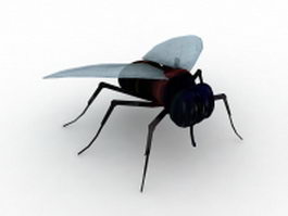 Black fly 3d model preview
