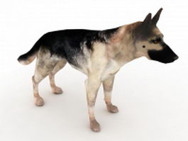 German Shepard dog 3d model preview