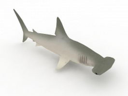 Hammerhead shark 3d model preview