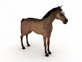Domestic horse 3d model preview