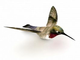 Hummingbird 3d model preview