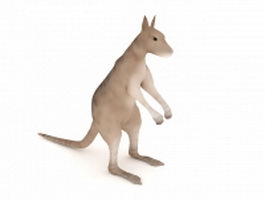 Antilopine kangaroo 3d model preview