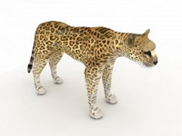 Arabian leopard 3d model preview