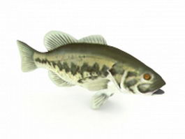 Largemouth bass fish 3d model preview