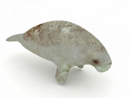 Manatee 3d model preview