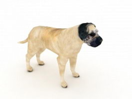 Mastiff dog 3d model preview