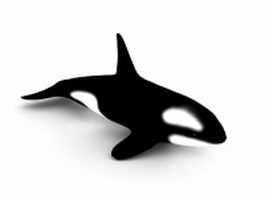 Killer whale 3d model preview