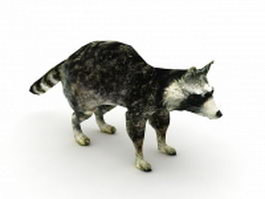 Raccoon dog 3d model preview