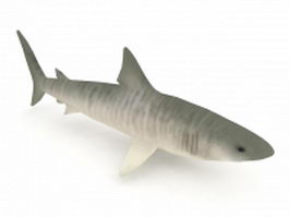 Tiger shark 3d model preview