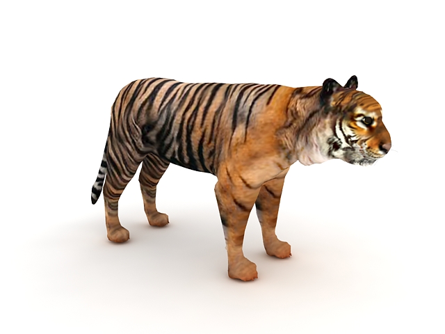 Tiger 3d Model Animated