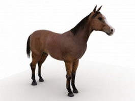 Brown horse 3d model preview