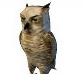 Brown owl bird 3d model preview