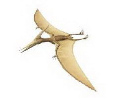 Pterodactylus antiquus 3d model preview
