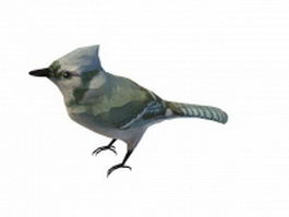 Blue chested bird 3d model preview