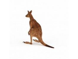 Red kangaroo 3d model preview