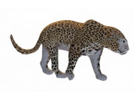 African leopard 3d model preview