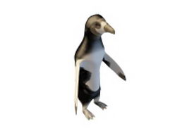 Banded penguin 3d model preview
