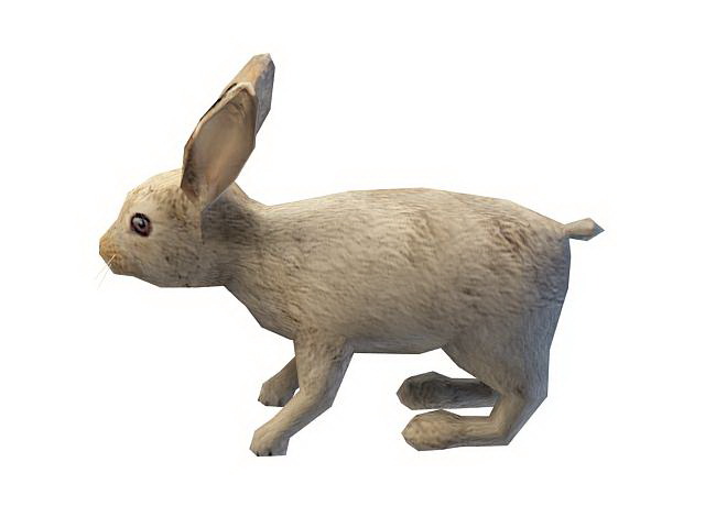 Brush rabbit 3d model 3ds max files free download - CadNav