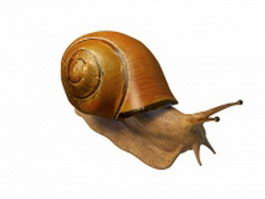 Land snail 3d preview