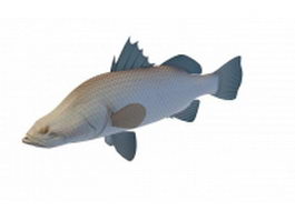 Barramundi fish 3d model preview