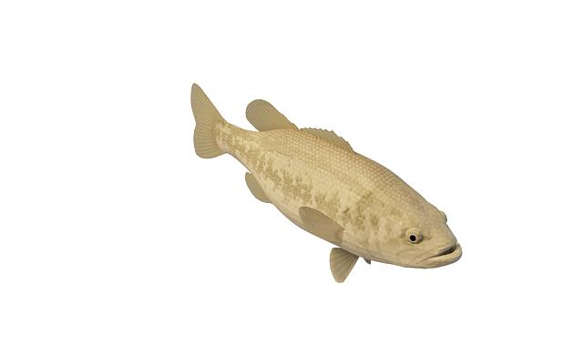 Black carp fish 3d model 3ds max files free download - modeling 29418 ...