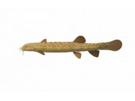Spined loach 3d model preview