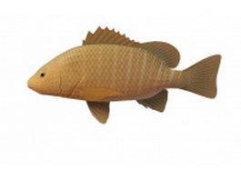 Mangrove snapper fish 3d model preview