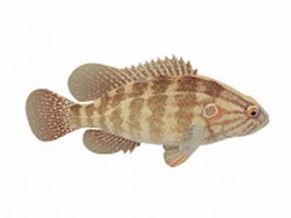Brown striped fish 3d model preview