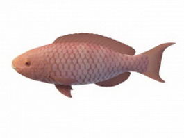 Red drum fish 3d model preview