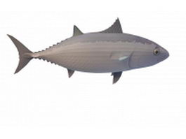 Blackfin tuna 3d model preview