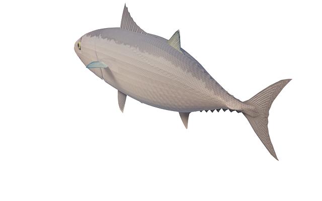 Blackfin tuna 3d rendering