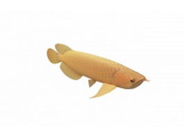 Gold arowana fish 3d model preview