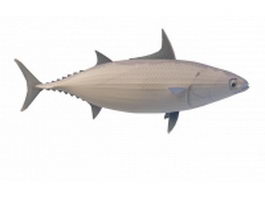 Striped tuna 3d model preview