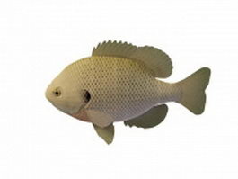 Freshwater panfish 3d model preview