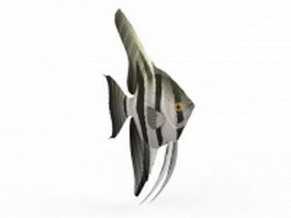 Zebra angelfish 3d model preview
