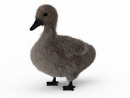 Young swan cygnet 3d preview