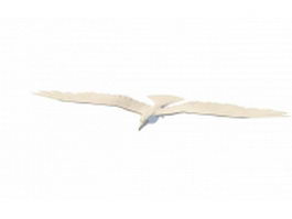 Ivory gull 3d model preview