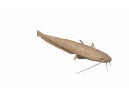 Freshwater catfish 3d model preview