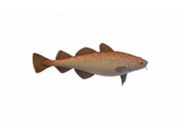 Brook trout 3d model preview