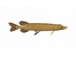 Northern pike fish 3d model preview