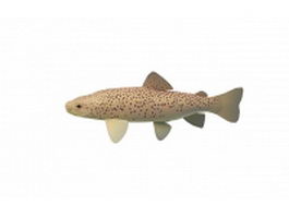 Brown trout 3d model preview