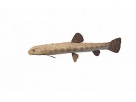Freshwater loach fish 3d model preview