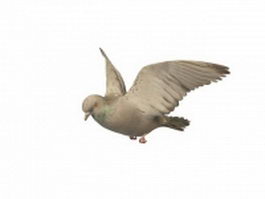 Flying pigeon 3d model preview
