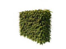 Hedge plants 3d preview