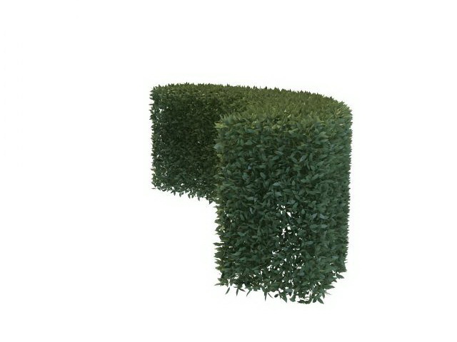 Curved boxwood hedge 3d rendering