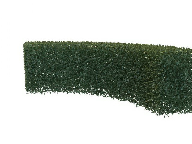 Curved boxwood hedge 3d rendering