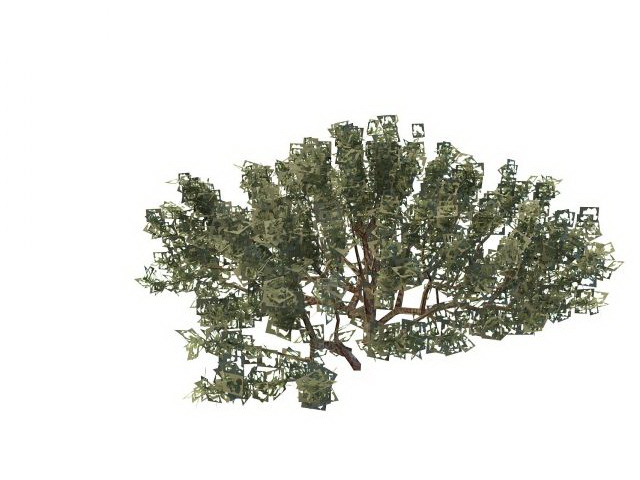 Wild bushes plant 3d rendering