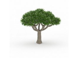 Desert palm tree 3d model preview